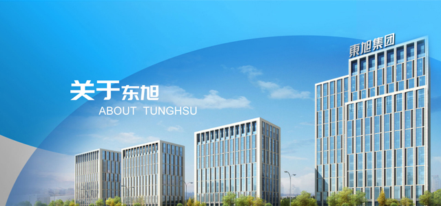 东旭集团财务有限公司 东旭集团财务有限公司